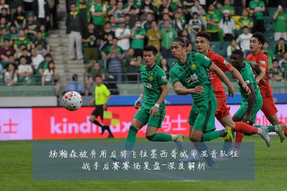 杨瀚森被弃用后将飞往墨西哥城率混音队征战季后赛赛场复盘-深度解析