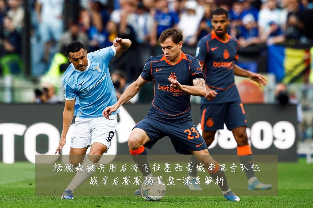 杨瀚森被弃用后将飞往墨西哥城率混音队征战季后赛赛场复盘-深度解析
