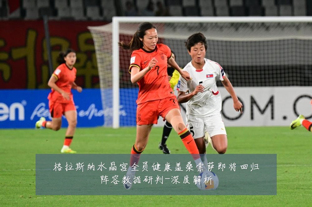 格拉斯纳水晶宫全员健康盖桑索萨即将回归阵容数据研判-深度解析